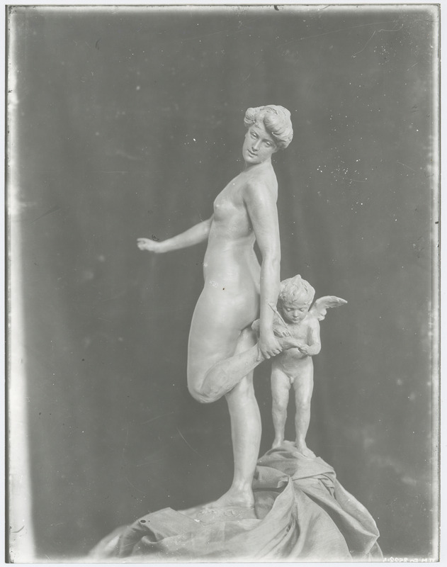 A. Adamsoni "Amor arstina".