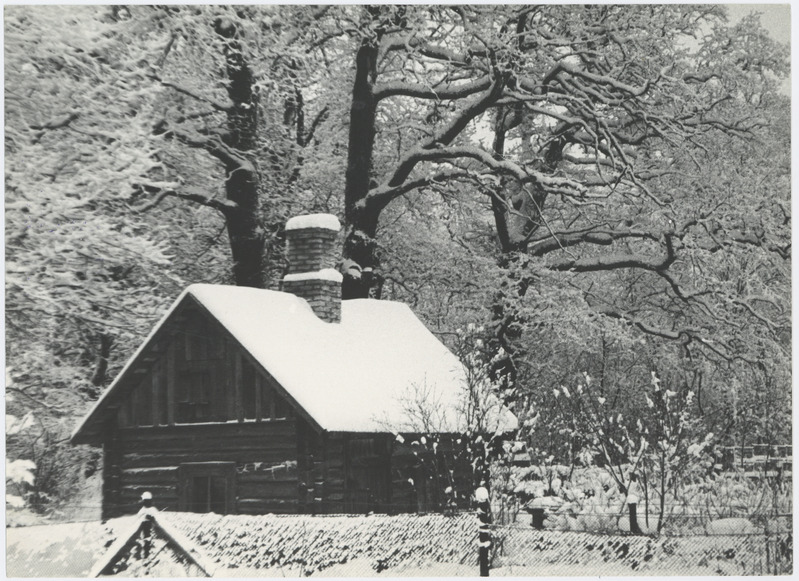 Foto "Talverahu"