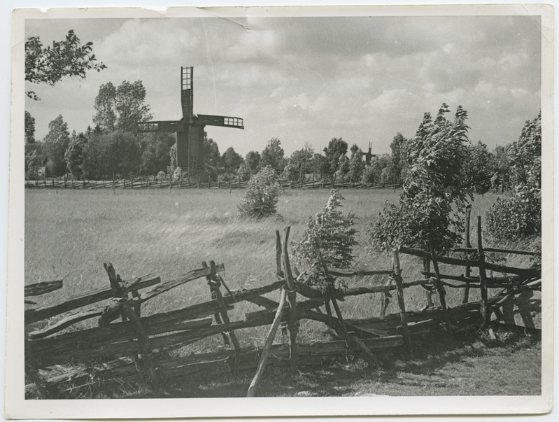 Saaremaa, vaade tuulikutele.