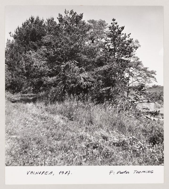 Fotoseeria "50 aastat hiljem"