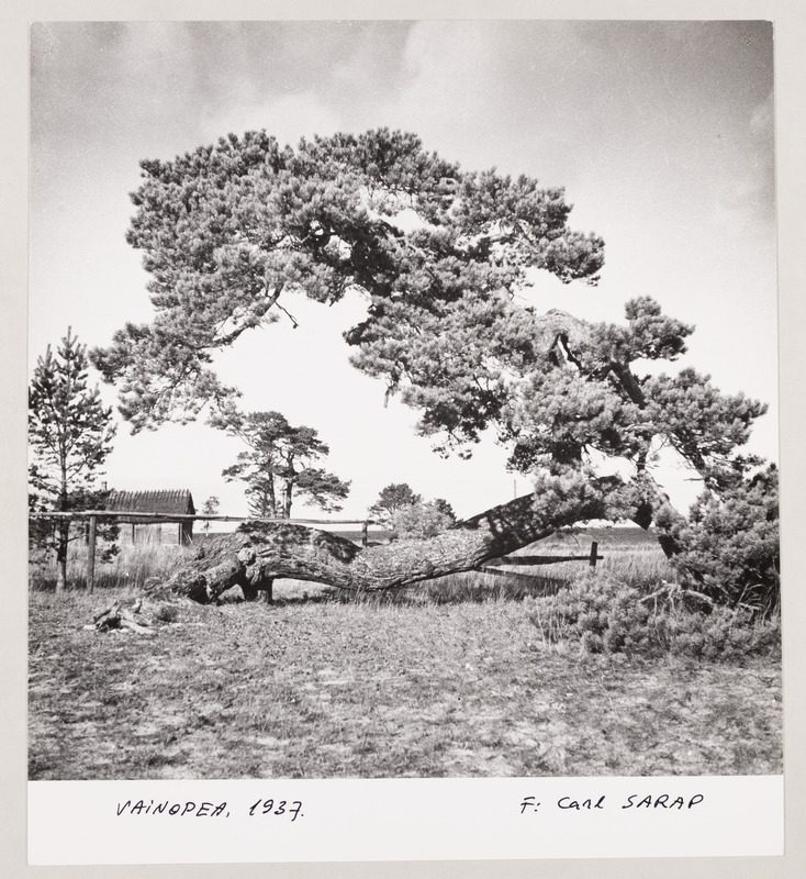 Fotoseeria "50 aastat hiljem"