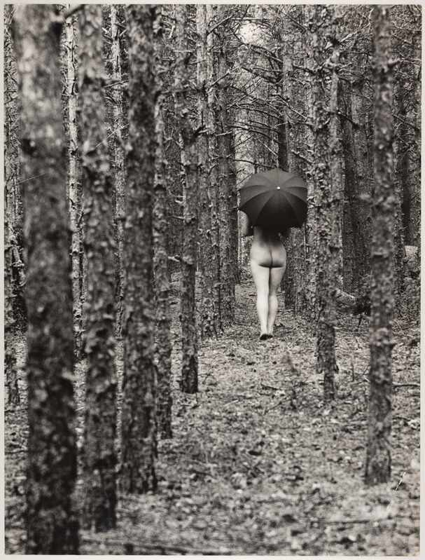 Akt vihmavarjuga sügiseses metsas. Vaade tagant.