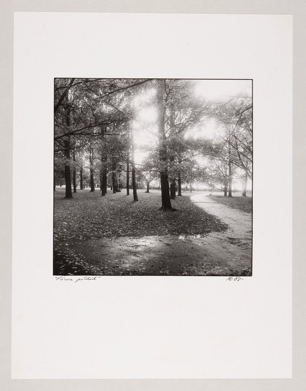 Tsüklist "Pärnu pildid" (Rannapildid)