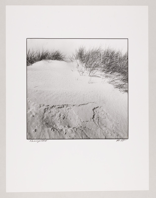 Tsüklist "Pärnu pildid" (Rannapildid)