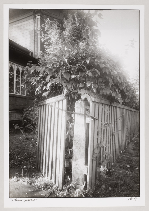 Tsüklist "Pärnu pildid" (Rannapildid)