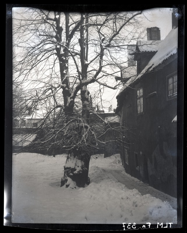 Tallinn, Niguliste kiriku õu Kelchi pärnaga, talvel.