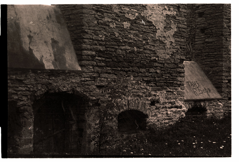 Pirita kloostri lõunamüüri detail