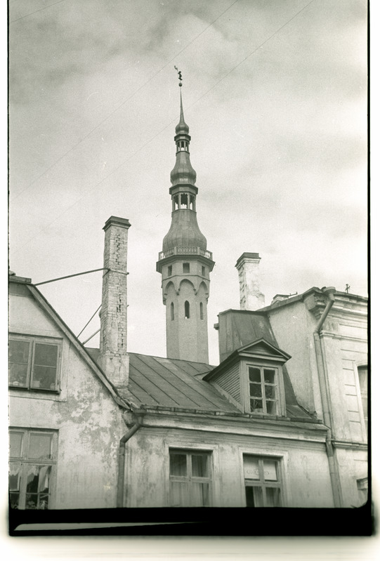 Raekoja torn