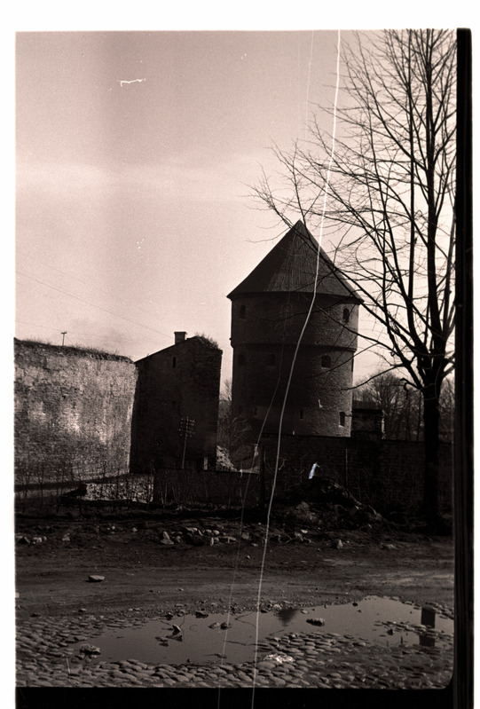 Tallinn, vaade Kiek-in-de-Kök'ile ja Neitsitornile Toompealt.