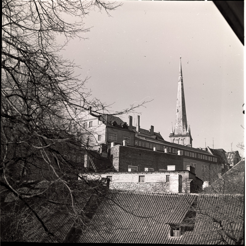 Vaade vanalinna katustele jms