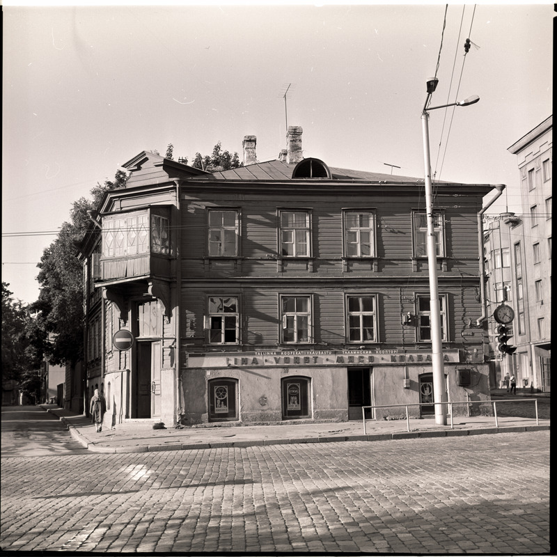 Vaade puumajale