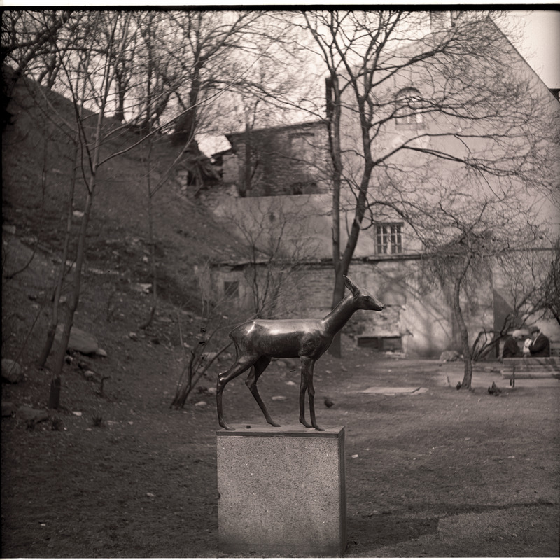 J. Koorti "Metskits"
