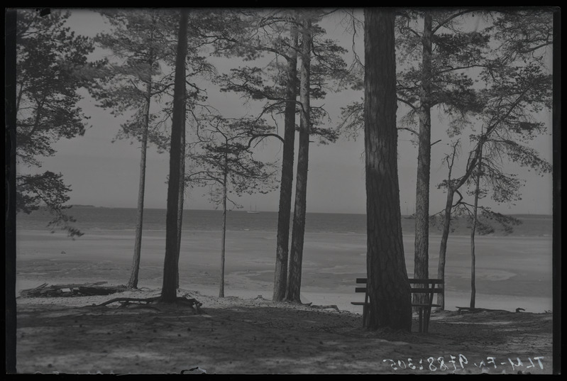 Võsu, vaade rannale.