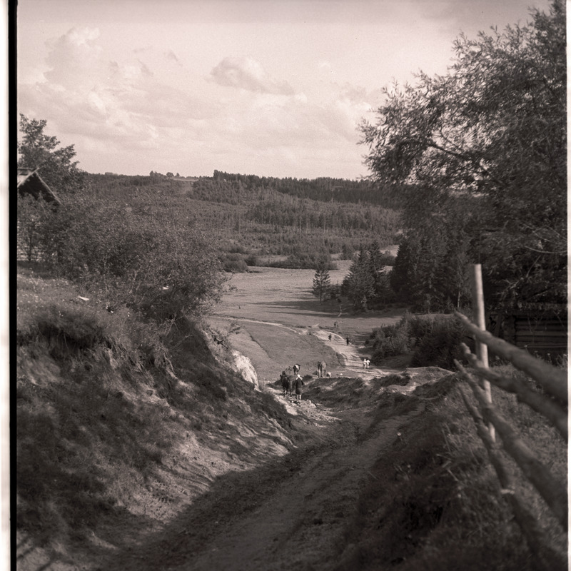 Setumaa, loodusvaade.