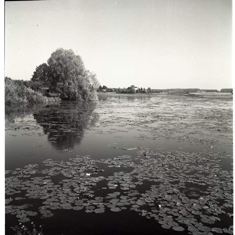 Räpina, vaade veekoguga.