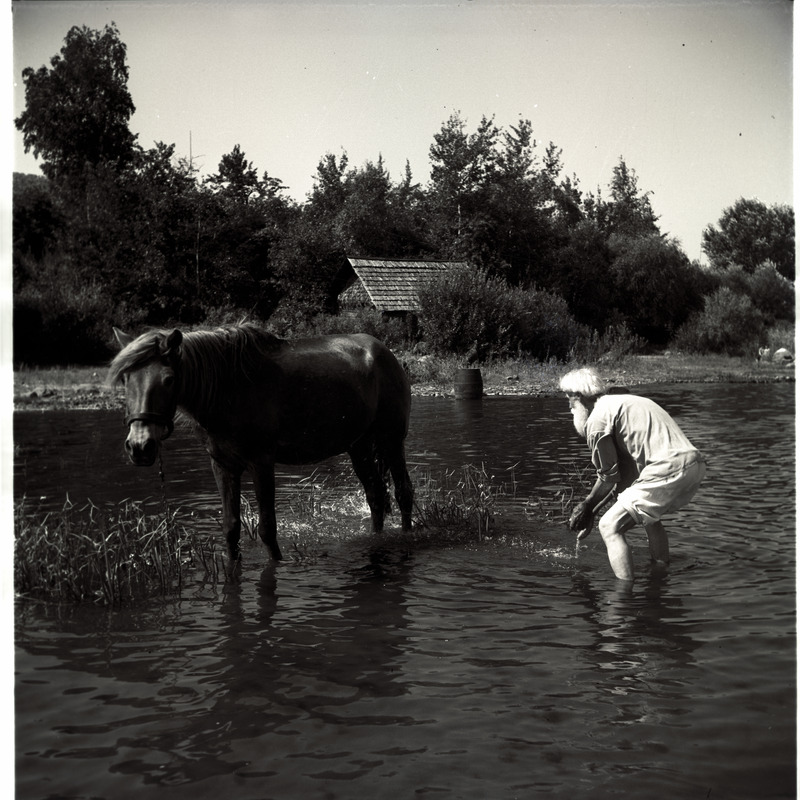 Võõpsu, hobune ja mees jalgupidi vees.