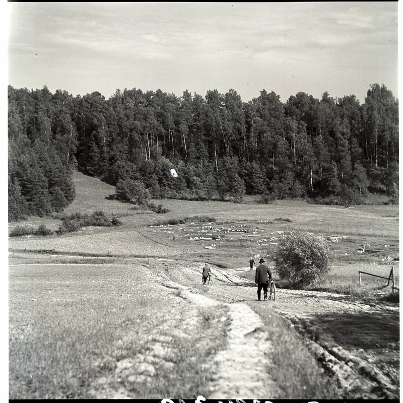 Obinitsa, loodusvaade.