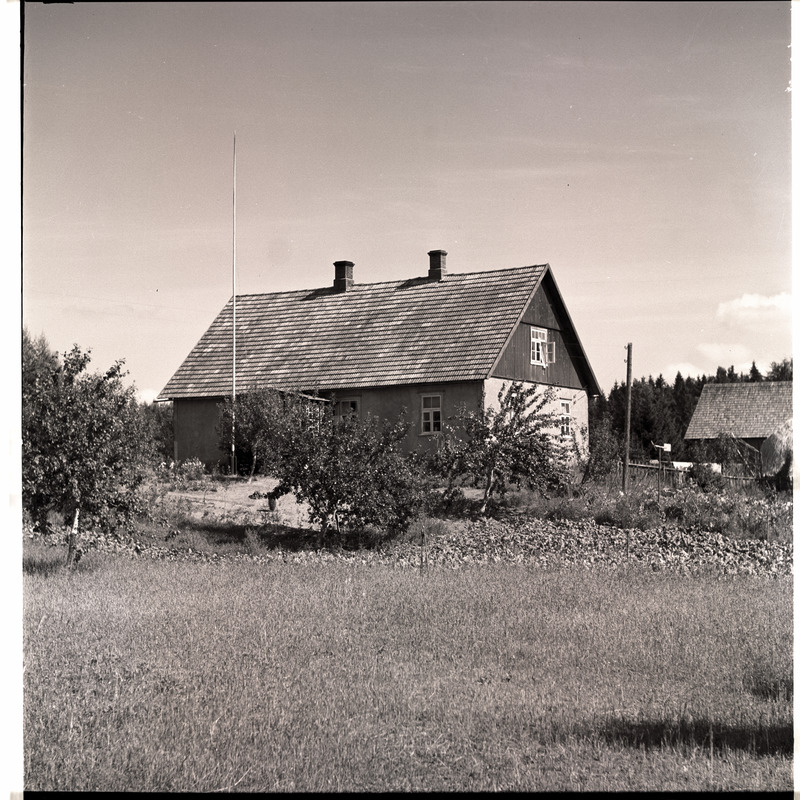 Muhu, taluvaade.