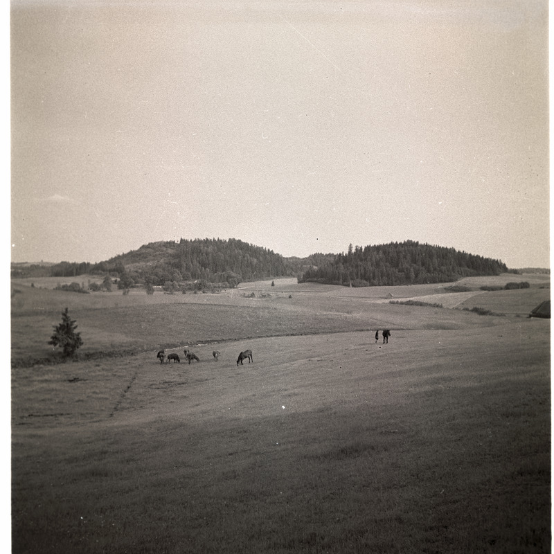 Otepää, vaade mäekuplitele.