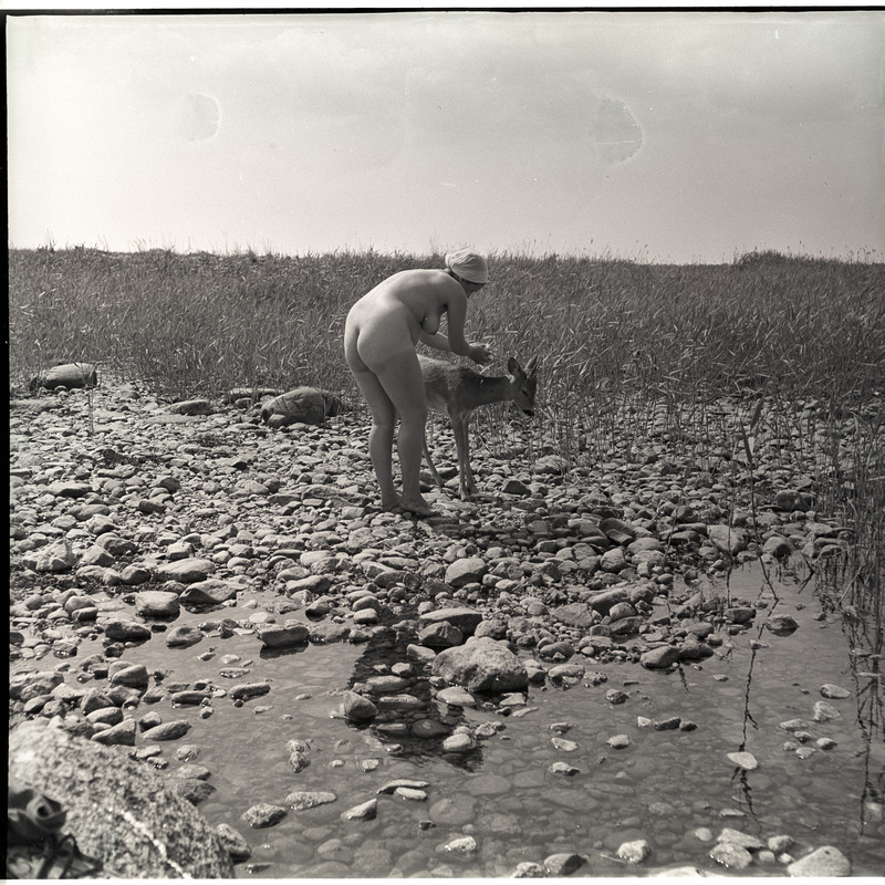 Akt metskitsega Aegna saare rannal