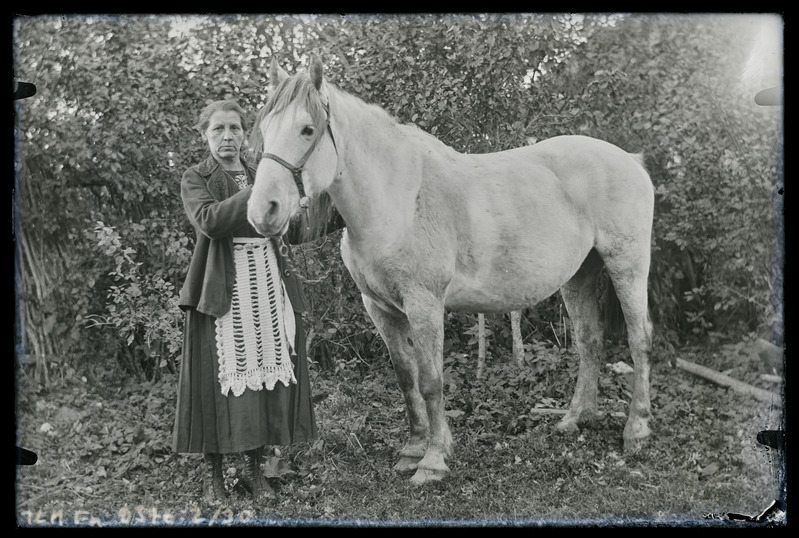 Kohavaade: naine hobusega