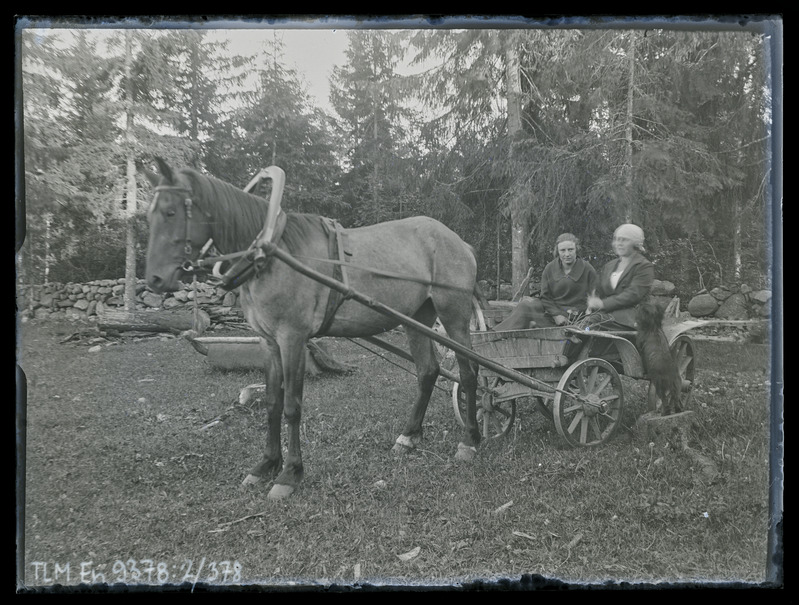 Vaade: hobuvanker kahe tundmatu naisega.