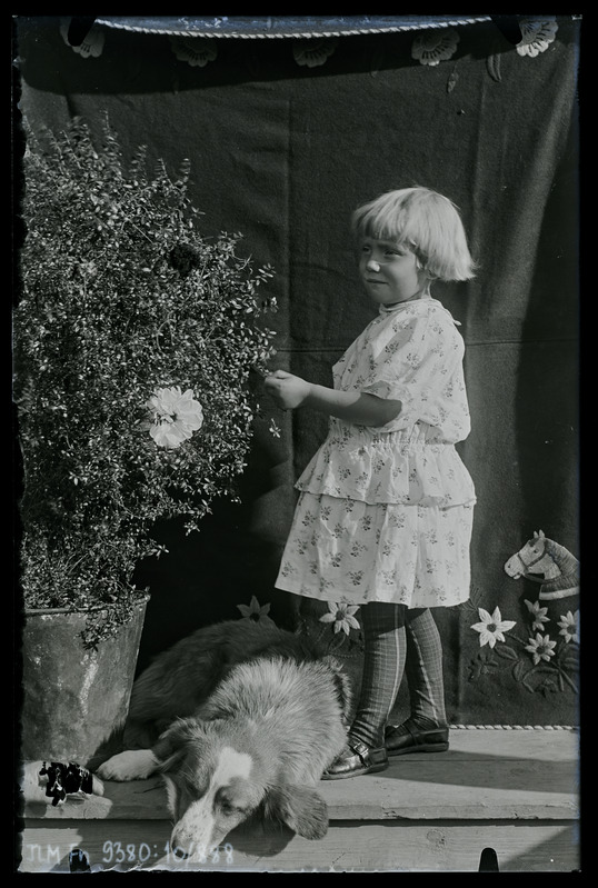 Portree: tundmatu tüdruk koeraga trepil
