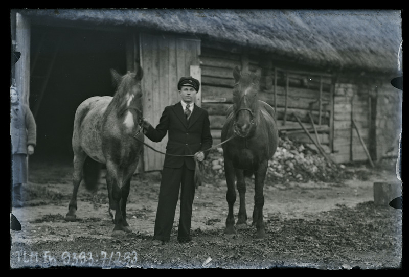 Portree: tundmatu mees kahe hobusega