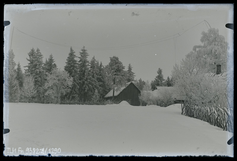 Vaade: Mättasoo talu hooned talvel lumes