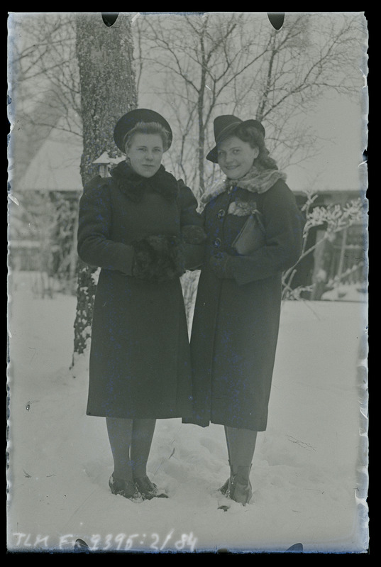 Kaksikportree: Herta Viil ja tundmatu naine Pahulast