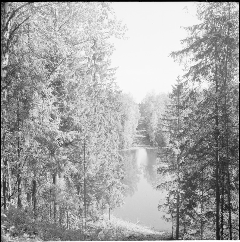 Nelijärve