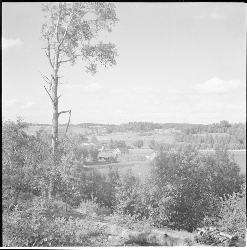Rõuge maastik