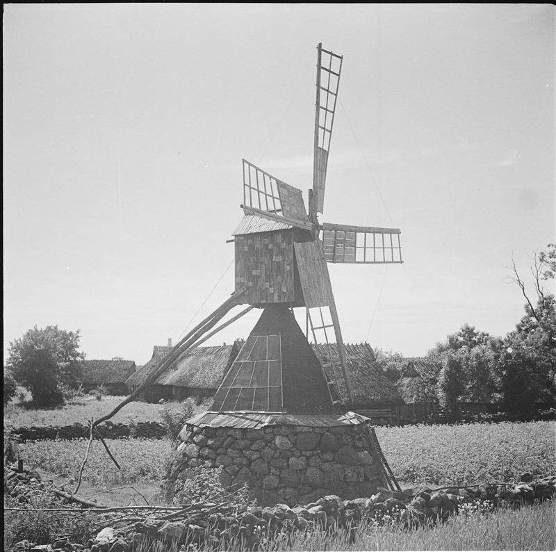 Muhu tuulik