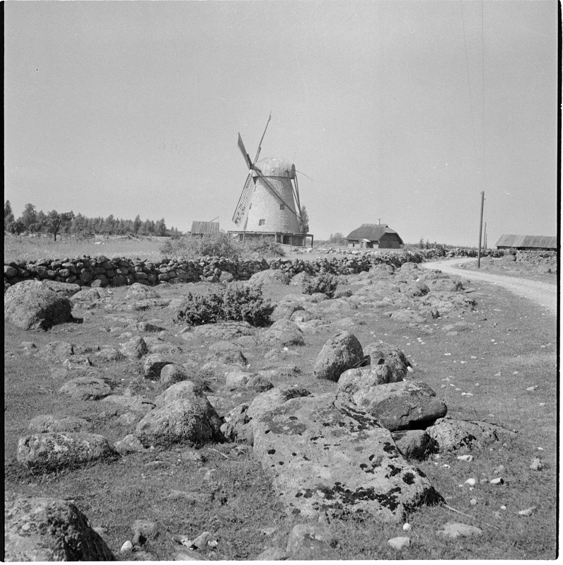 Pukktuulik Saaremaal