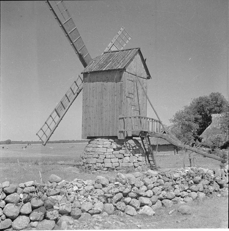 Pukktuulik Saaremaal
