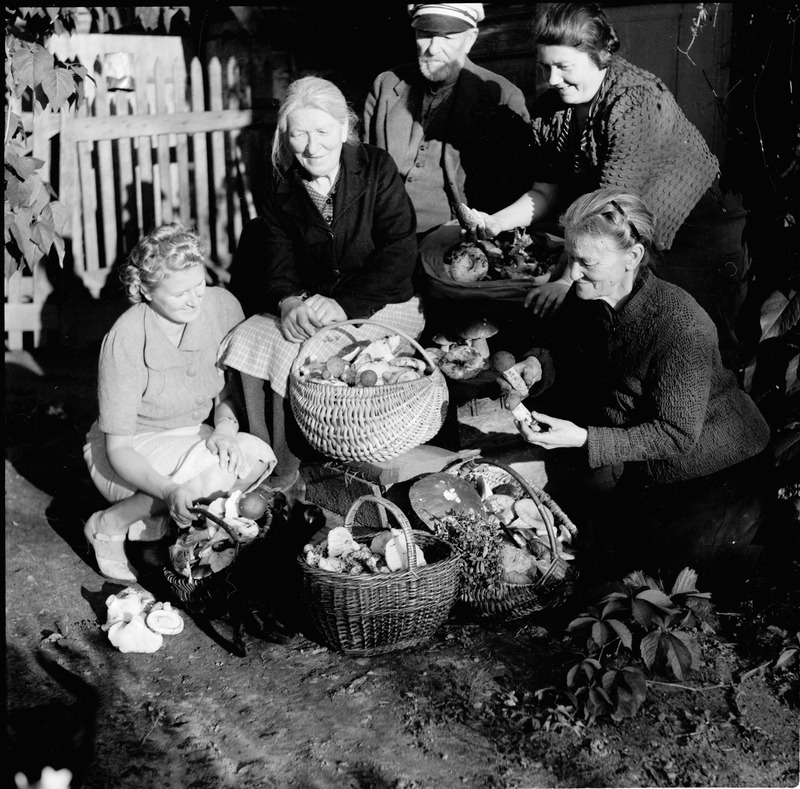 Grupipilt: inimesed seenekorvide ümber, vasakult: tundmatu, Meeta Saar, Aleksander Martin Saar, Johanna Triefeldt, Amalie Charlotte Sarap