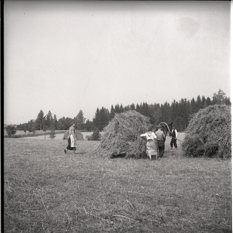 Viljakoristus - inimesed põllul hobuvankrile pandud kuhja juures