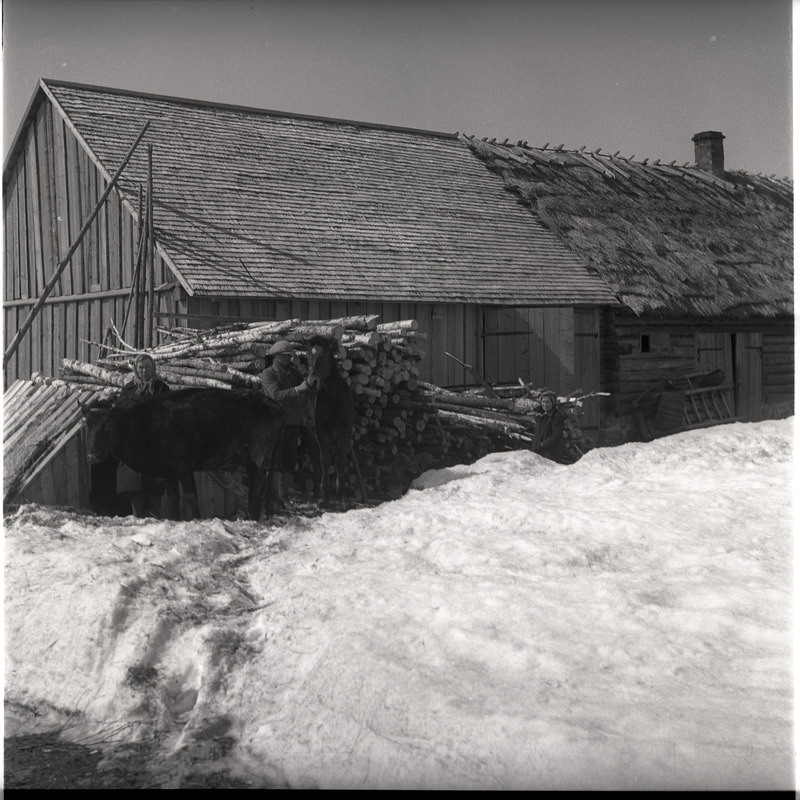 Talu - inimesed ja lehm taluhoone taustal, talvel