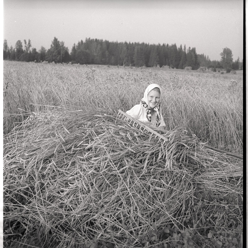 Portree: Ingrid Millistfer viljapõllul