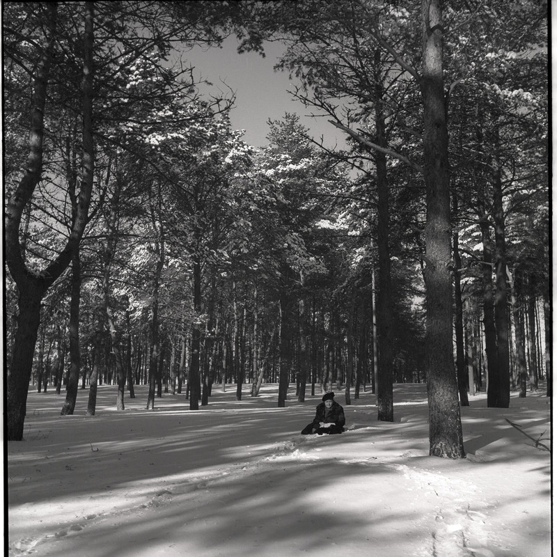 Talvine maastik - lumised puud, Johanna Triefeldt maas istumas