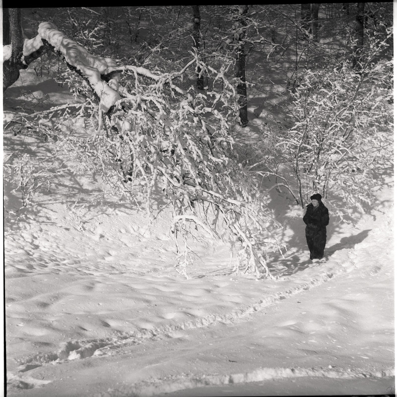 Talvine maastik - lumised puud, Johanna Triefeldt seismas