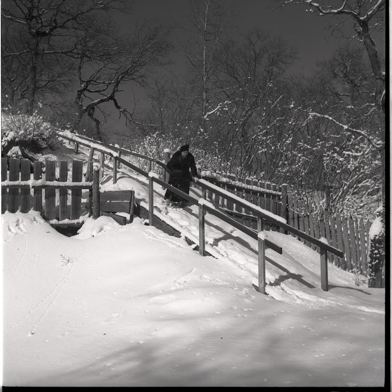 Talvine maastik - Johanna Triefeldt trepil