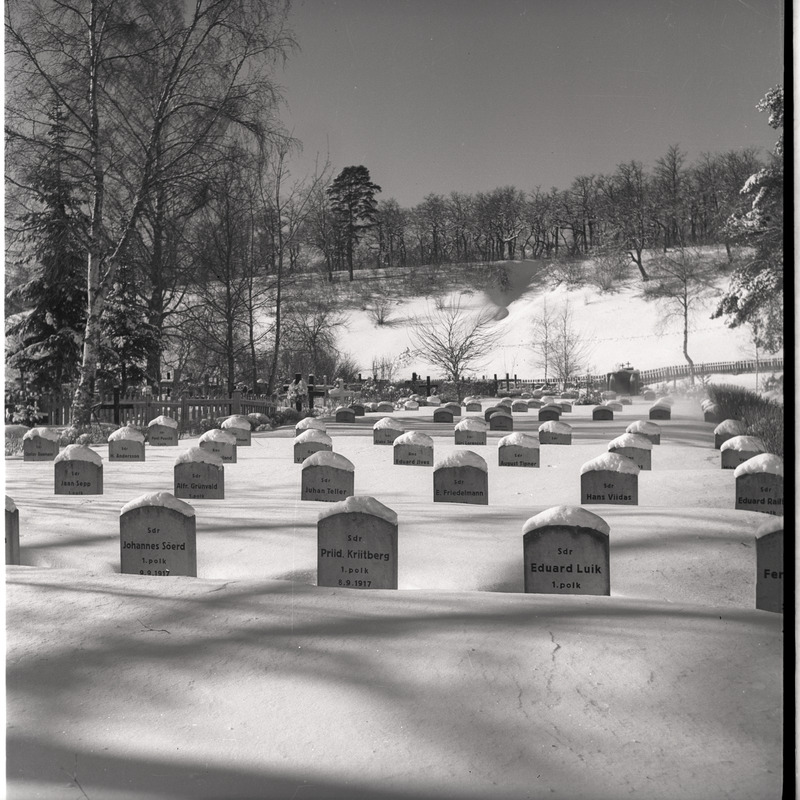 Rakvere Kaitseväe kalmistu talvel, nimetahvlid
