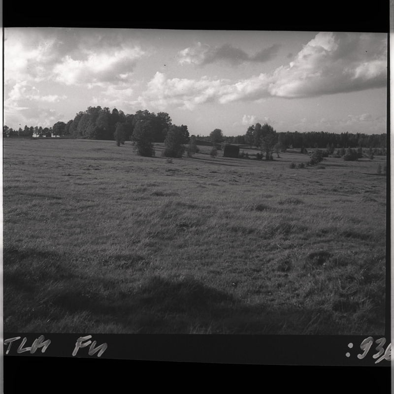 Maastikuvaade