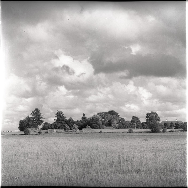 Maastik hoone varemetega