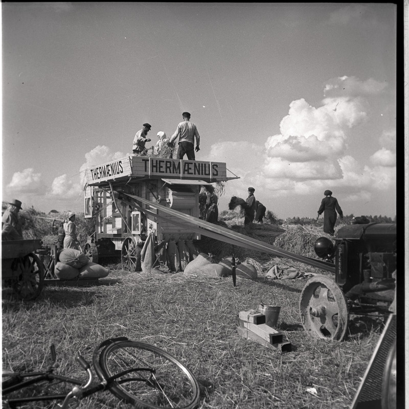 Petseri, töö rehepeksumasinaga Petseri kloostri viljapõllul