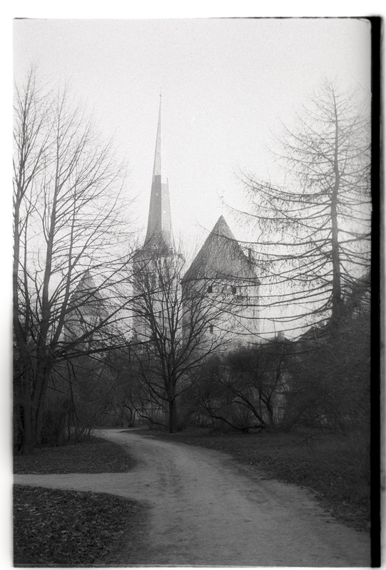 „Vana Tallinn“ - Tallinn. Vaade puuoksade vahelt Oleviste kirikule ja Linnamüüri tornidele.