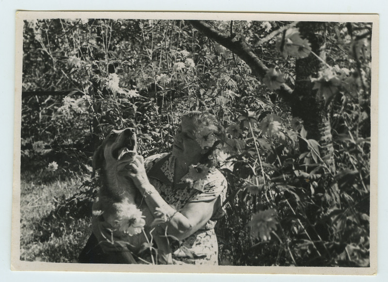 Foto V. Luts koeraga