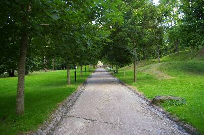 Digifoto. Toomemägi: nn Professorite allee (ülikooli peahoone tagune Toome allee).  Tartu, juuli 2013.