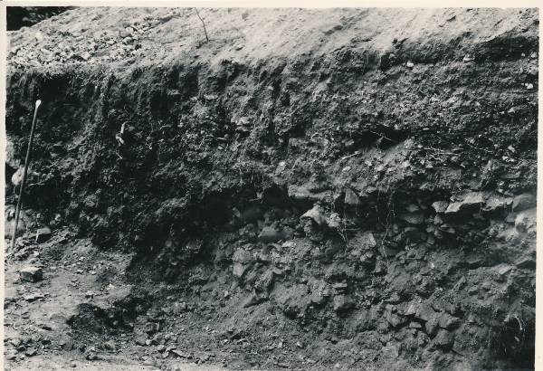 Arheoloogialeid. Pühavaimu kiriku müürijäänused Laia t (Mitšurini t) võimla õuel. Tartu, 1961.